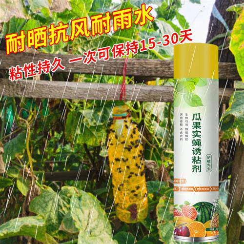 瓜果实蝇诱粘剂果蝇诱捕器昆虫引诱剂神器黄板双面粘虫板灭针蜂药