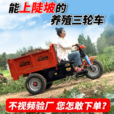 农用家用三轮车拉饲料粮食自卸翻斗车强承重加厚钢材田间爬坡省力