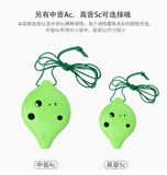 TNG TOP 6 HOLES, SOUNT C -ПРЕДУПРЕЖДЕНИЕ AC AC Beginters Вход для предотвращения падающей смолы шесть -отверстие для детей обучения детей