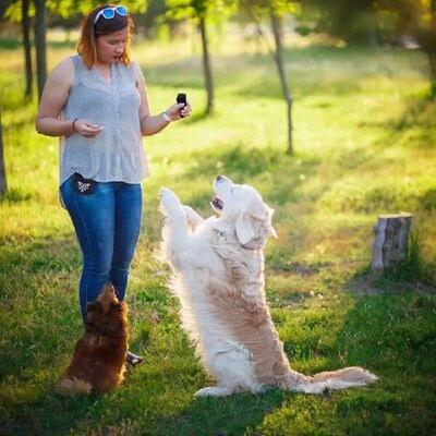 Dog Clicker For Training Cat Training Clicker Puppy