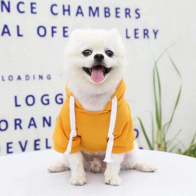 Machine Washable Polyester Outdoor Solid Color Dog Hoodie