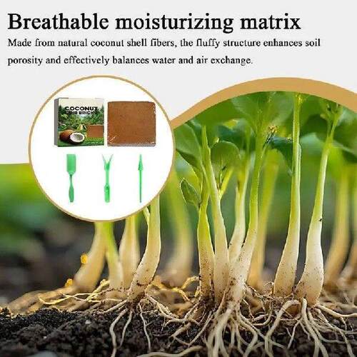 Coco Bricks For Planting Organic Planting Substrate