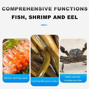 Foldable Fishing Net Portable Crayfish Lobster Fishnet Cage
