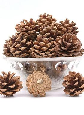 PineCones 3 to 4cm Natural Pine Cones for Christmas e Decor