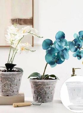 Flower Pots Flowerpots Transparent Orchid Pots with Side