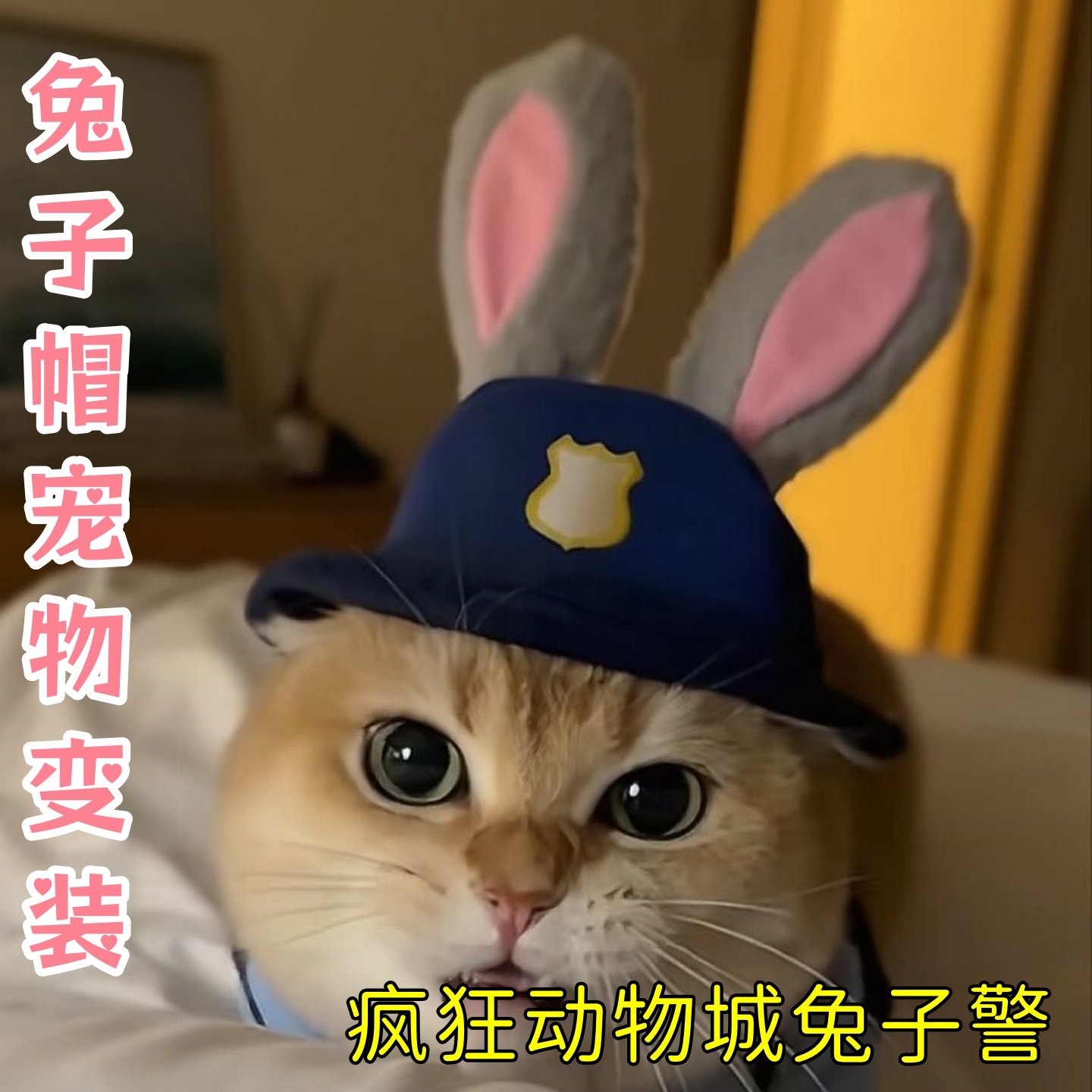 疯狂动物城兔子警官cos卡通套装