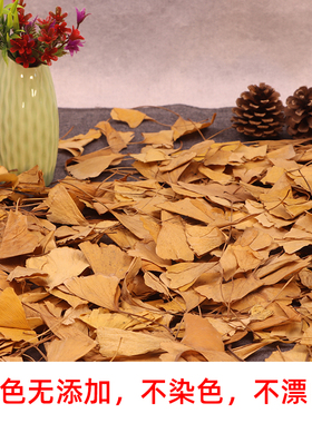 银杏叶摆件落叶干花插花花艺装饰田园摄影背景道具橱窗婚礼装饰品