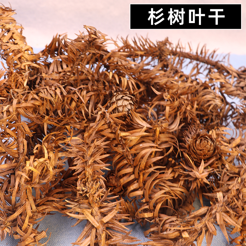 杉树叶真叶子手工制作书签相框