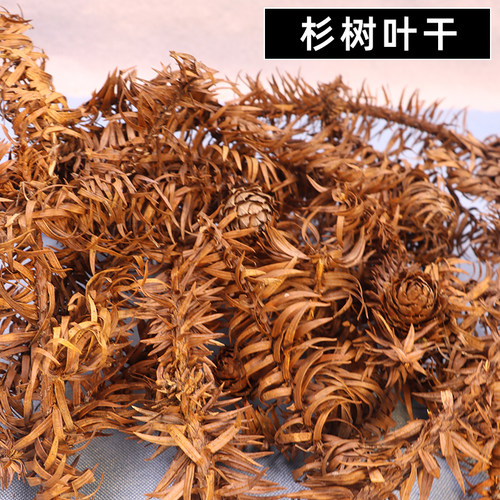 杉树叶真叶子手工制作书签相框
