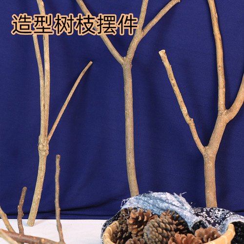 造型树枝创意摆件转角点缀园艺架