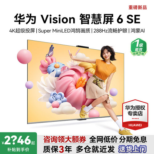 咨询送安装！Vision6SE