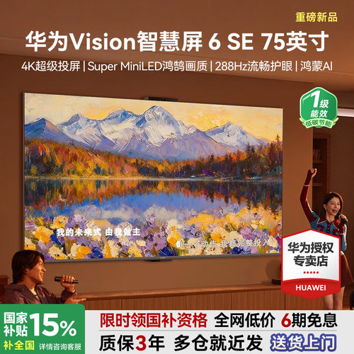 咨询选配安装！Vision6SE