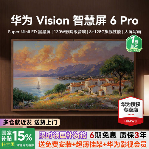 包安装+超薄挂架！Vision6Pro