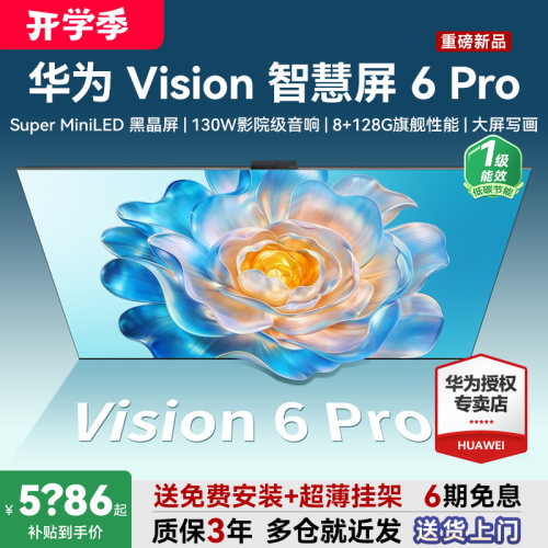 包安装+超薄挂架！Vision6Pro