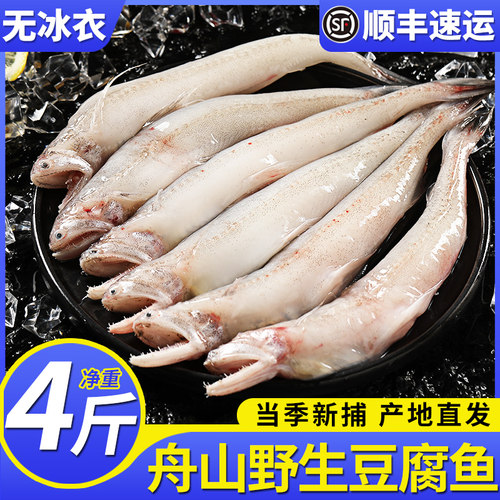 4斤新鲜豆腐鱼舟山龙头鱼水潺九