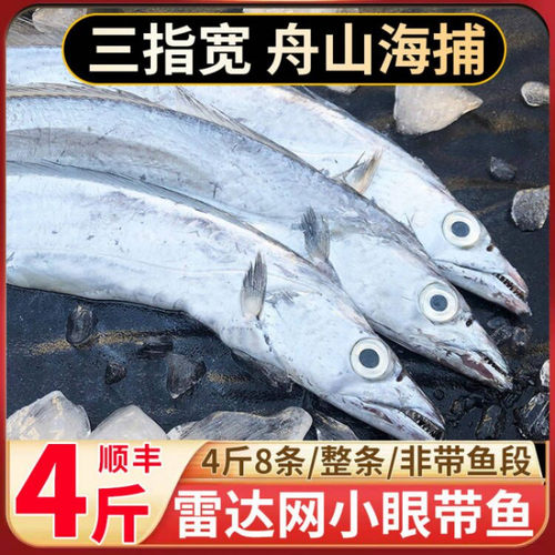 舟山雷达网小眼带鱼4斤7-8条整条