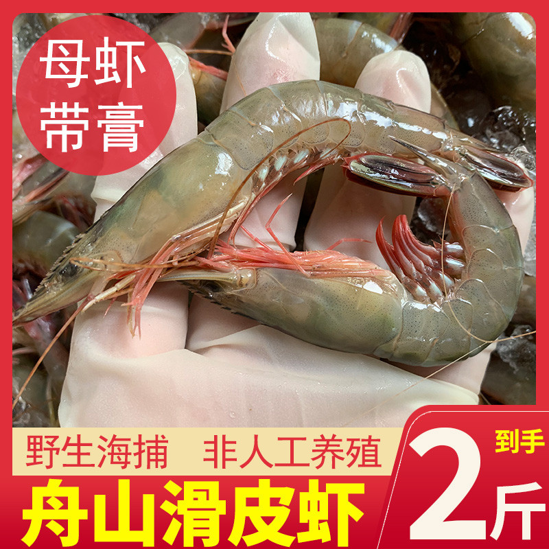 舟山滑皮虾2斤新鲜发货约40只/斤