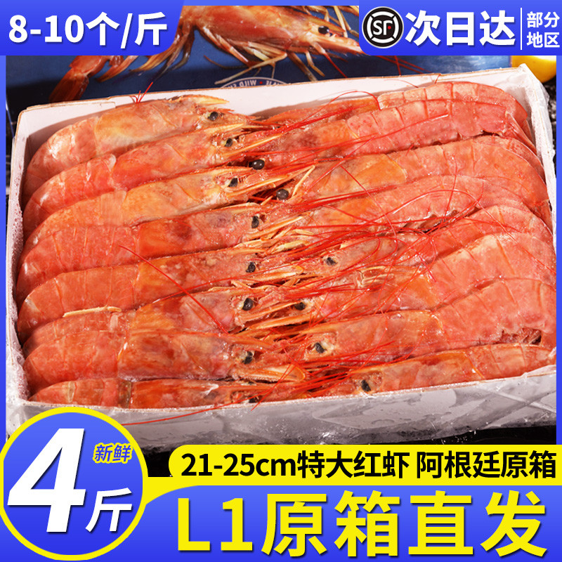 特大阿根廷红虾L1进口超大红虾