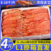 特大阿根廷红虾L1进口超大红虾新鲜冷冻海鲜水产鲜活船冻海捕大虾
