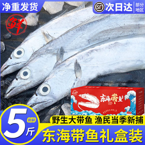 5斤特大带鱼礼盒舟山海鲜大礼包