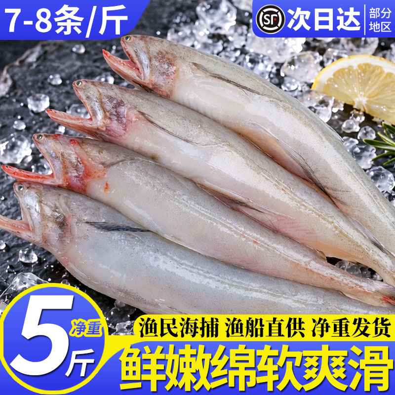 豆腐鱼水潺龙头鱼新鲜冷冻舟山宁波海鲜水产生鲜冰冻九肚鱼商用