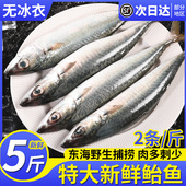 鲐鲅鱼新鲜鲜活鲅鱼新鲜冷冻青占鱼整条鲐鱼深海捕捞燕青鱼鲭鱼
