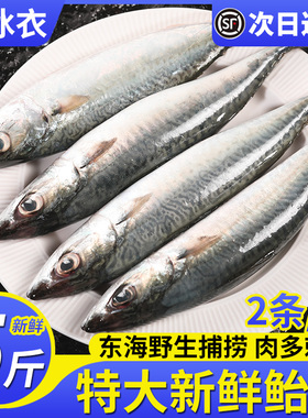 鲐鲅鱼新鲜鲜活鲅鱼新鲜冷冻青占鱼整条鲐鱼深海捕捞燕青鱼鲭鱼