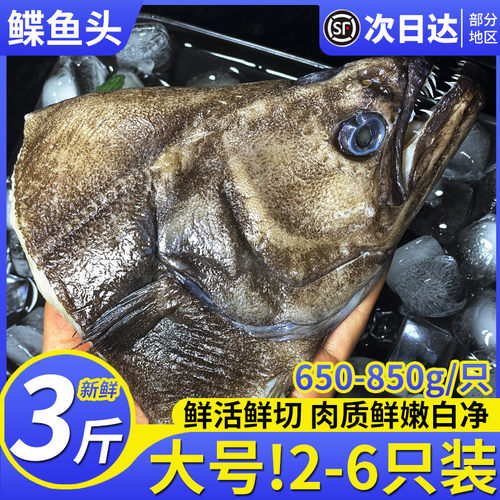 3斤新鲜鲽鱼头肉质鲜嫩无乱刺