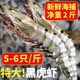 超大黑虎虾鲜活速冻特大活冻新鲜大虾鲜活冷冻老虎虾海鲜水产生鲜