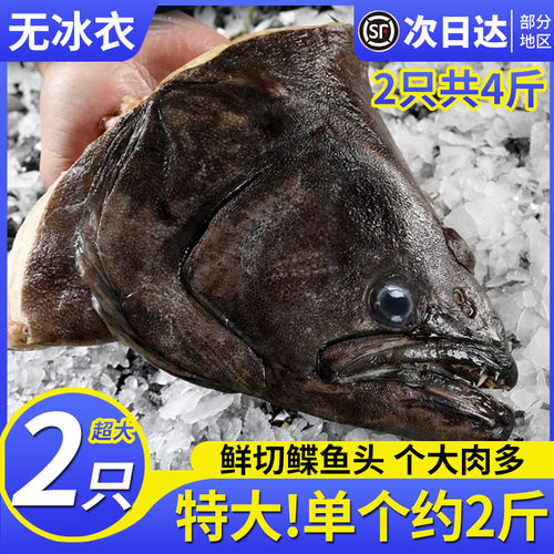 特大鸦片鱼头鲽鱼头鲜切2斤/只