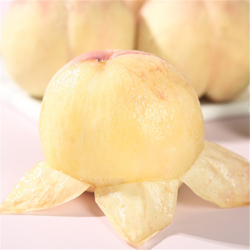 现摘现发正宗无锡白凤水蜜桃应季蜜桃血桃黄毛桃孕妇水果整箱