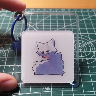 国拟拟猫小猫光栅卡挂件五变光栅卡