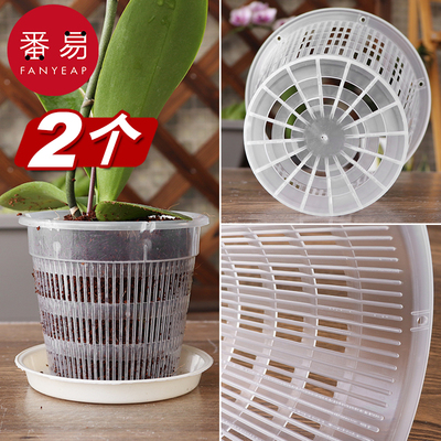 蝴蝶兰专用控根花盆透明塑料杯