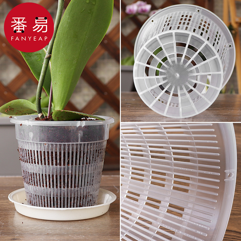 10Y-5Y花盆/控根A1P55-镂空透气塑料杯石斛植物种植花底盘蝴蝶园