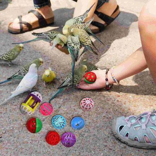 12 Pcs Bird Toy Ball Flexible Toys Cage Accessories Balls