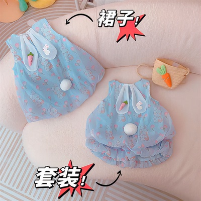 2024纯色1231980CZ夏季款背心小童洋宝-RKG小兔套装男女新款薄