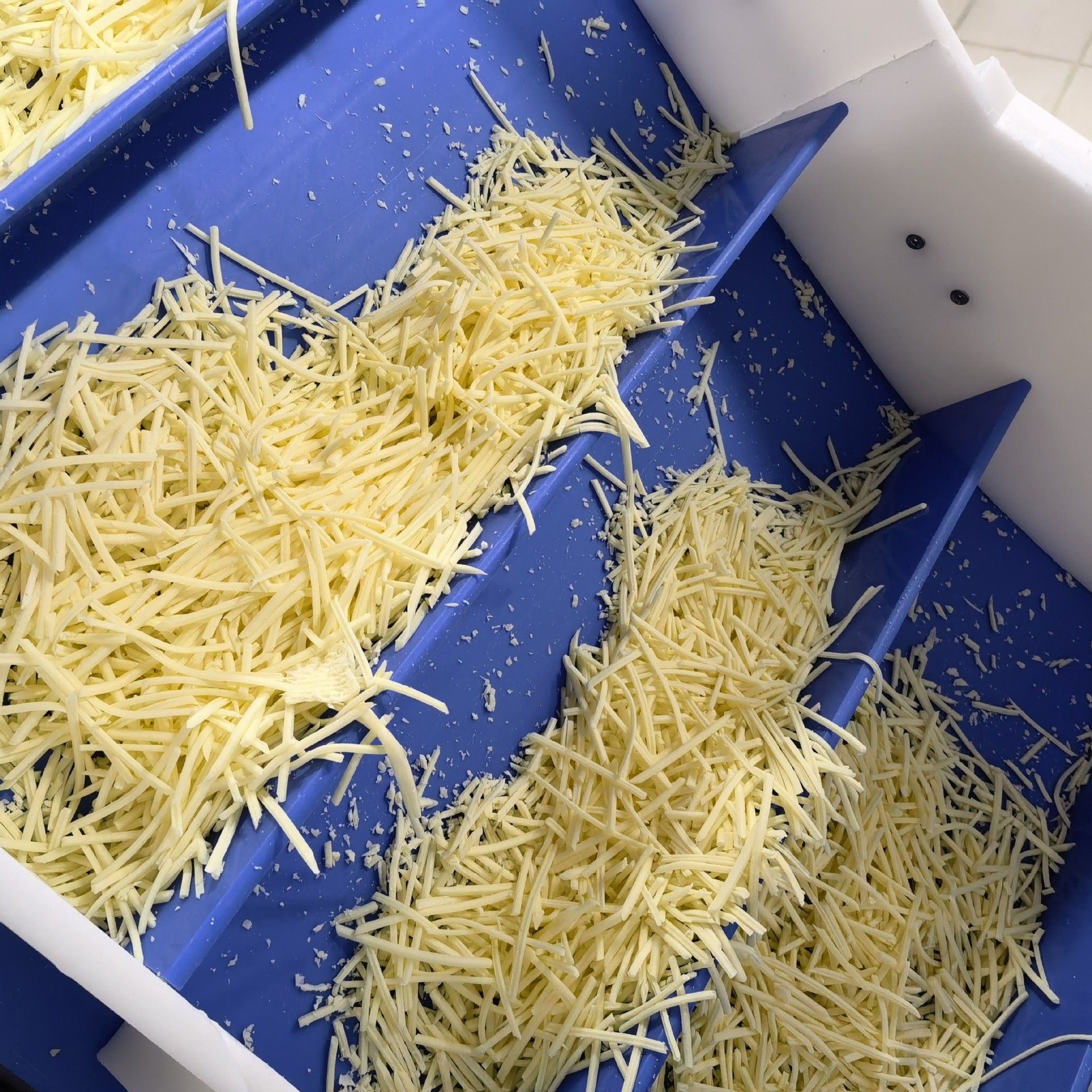 *乳酪切丝切丁切片设备 Cheese切条机奶酪棒奶酪条机芝士打碎机