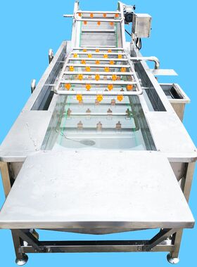 菌类清洗设备 工业大型全自动鼓泡喷淋式木耳清洗机器 银耳清洗机