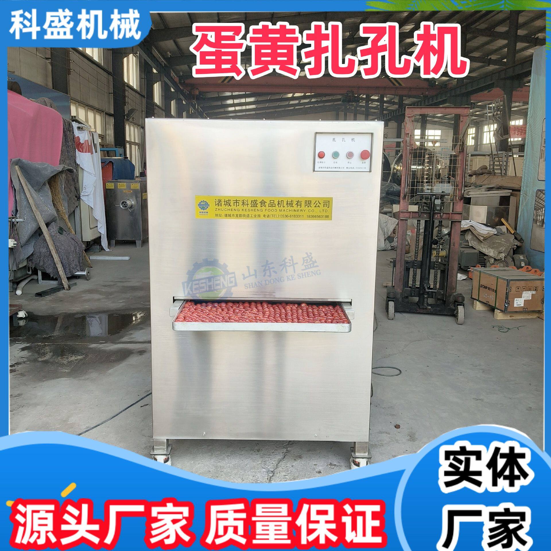 扎孔机 蛋黄扎孔机 宠物食品加工设备 扎眼机
