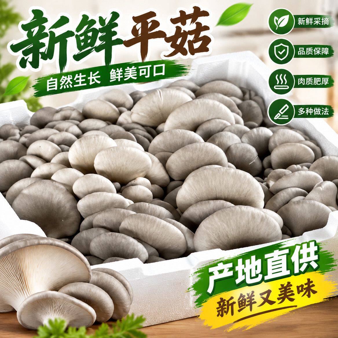 新鲜平菇农家自种鲜嫩蘑菇炒菜火锅鲜平菇食用菌菇真空包装嫩平菇