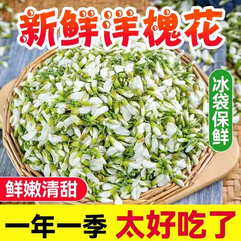 【顺丰】2026年应季新鲜杨槐花河南野生刺槐树花洋槐花野菜槐花