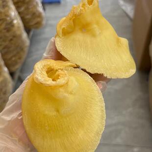 约10头鲍翅干货深海鱼新鲜水产鱼胶鲍鱼佛跳墙料250克