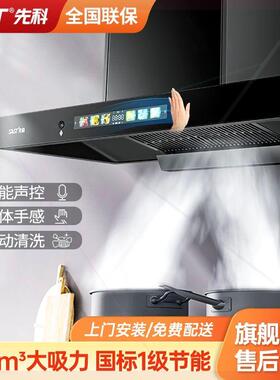 欧式T型抽油烟机家用厨房顶吸式吸油烟机壁挂式抽烟机