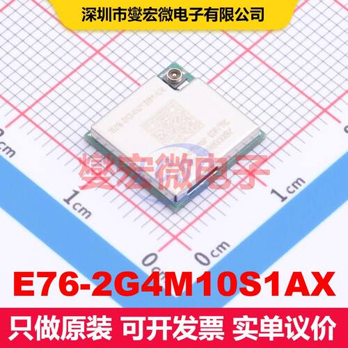 E76-2G4M10S1AX SMD,12x12mm 射频收发器模块和调制解调器 射频芯