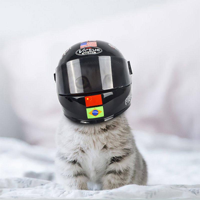 狗狗头盔猫咪帽子夏天搞怪摩托车机车搞笑拉风宠物拍照摩托帽专用