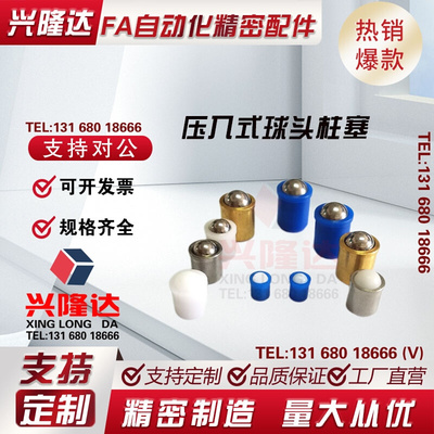 304不锈钢压入型球头柱塞 PPR-3/4/5/6/8/10/12 模具弹簧定位销