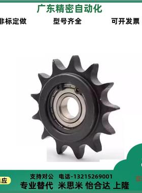 SP40B21-N/S-14/15/16/17/18/19/20/22/24/25/28/30/32/35/40链轮