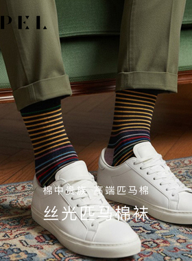 APEL丝光进口匹马棉条纹袜子男中筒袜春夏透气女百搭高端潮流棉袜
