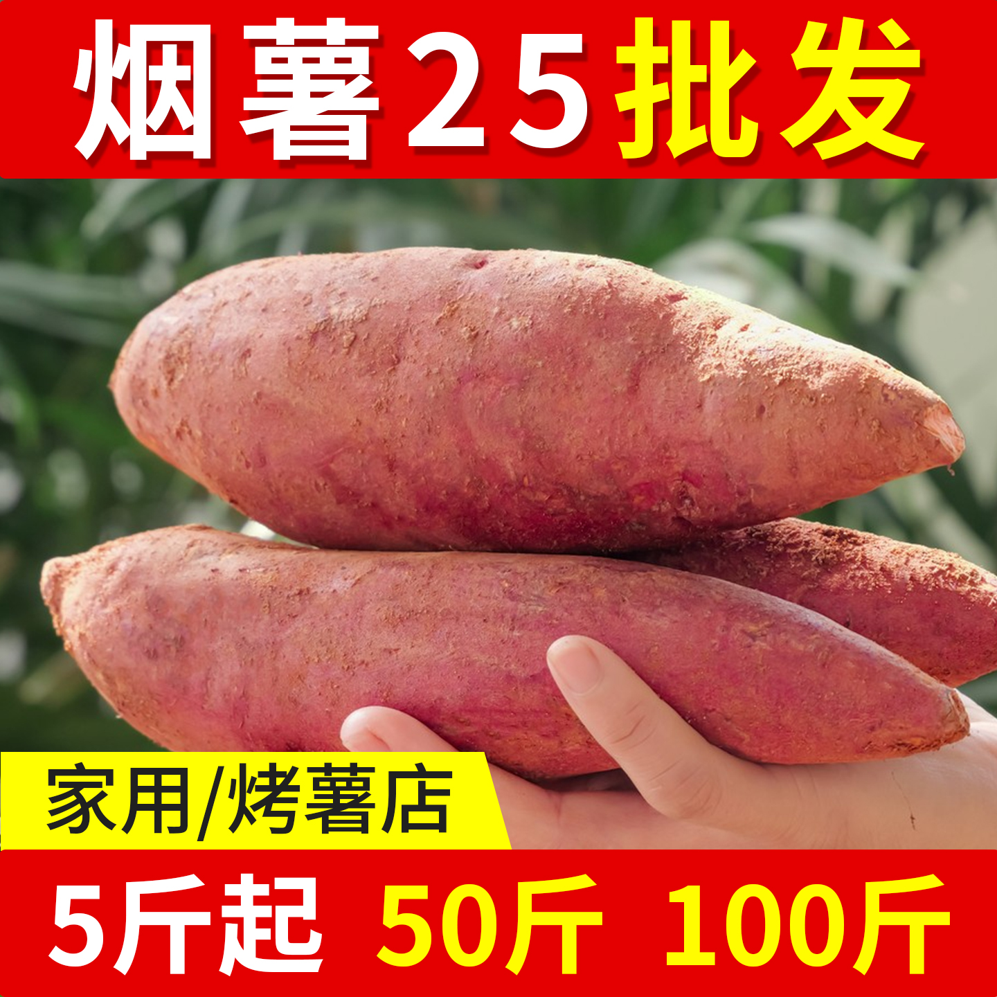 山东烟薯25号蜜薯糖心红薯烤红薯地瓜新鲜农家沙地番薯农科院山芋