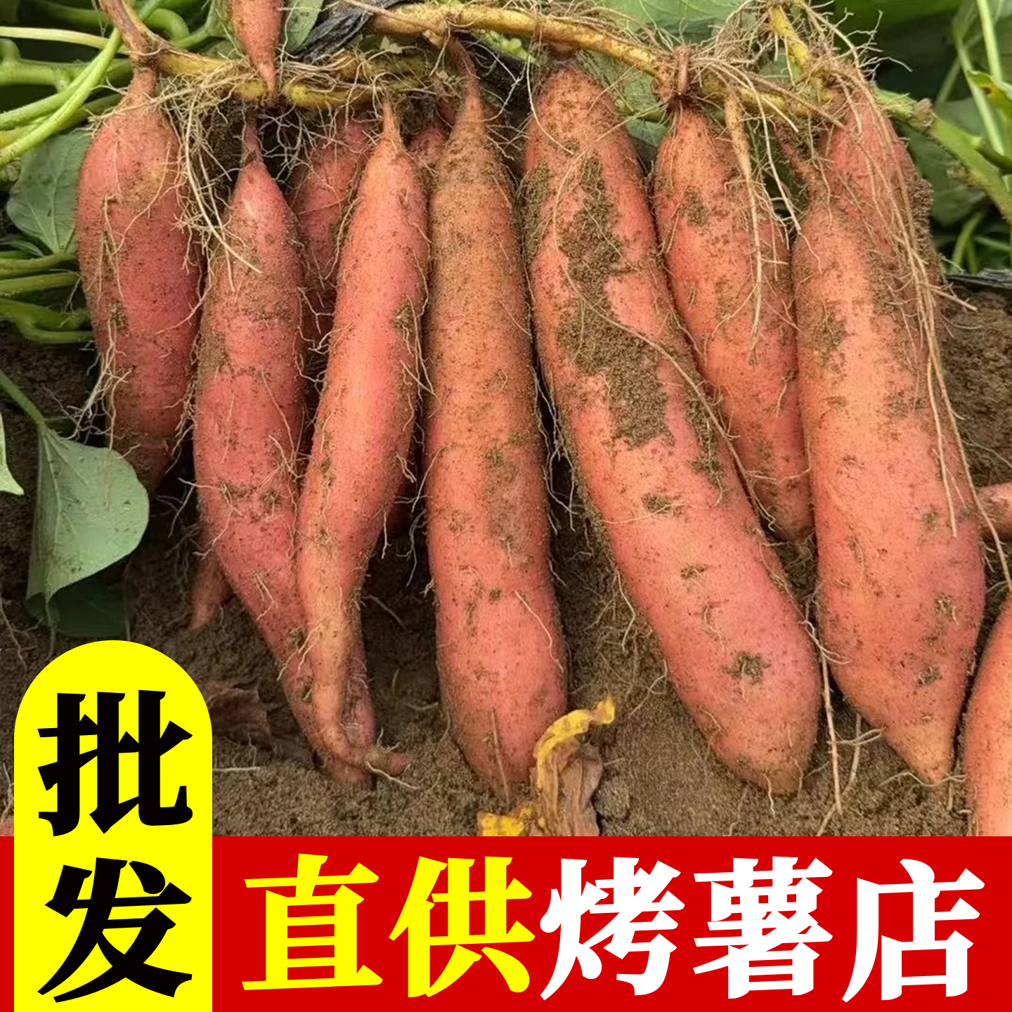 小中大红薯蜜薯烤红薯2025新鲜